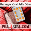 Kamagra Oral Jelly 5Gm new13